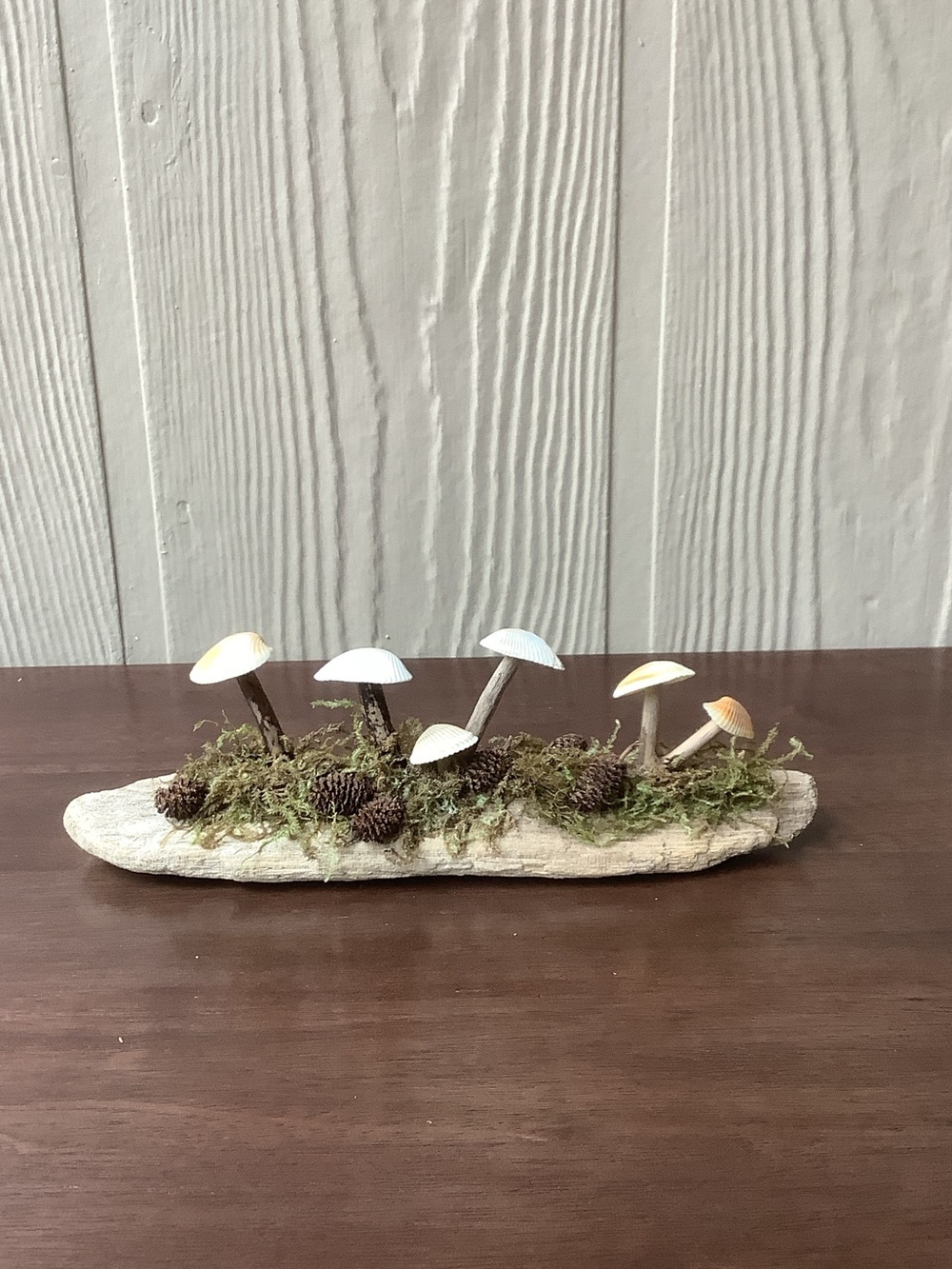 Driftwood Art, Driftwood & Seashell Mushrooms , Mushroom Art